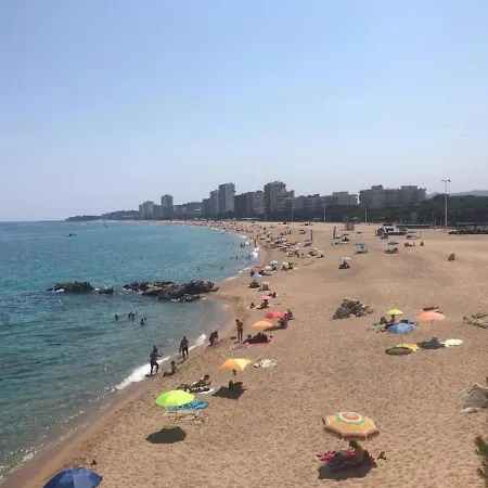 Lloguer30 Delfines, Swimming Pools , Near The And With Parking דירה